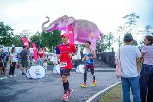 BIB: 
                            <button type="button" onclick="openModal(26551676)" class="btn btn-primary btn-sm float-right btn-popup" data-toggle="modal" data-target=".modal-high-quality">
                        <i class="fas fa-shopping-cart"></i> Add to Cart
                    </button>
                                            <button type="button" onclick="isThisMe(26551676, true)" class="btn btn-success btn-sm float-right btn-popup btn-isme hidden" data-toggle="tooltip" data-placement="bottom" title="นี่คือรูปของคุณใช่ไหม คลิกที่นี่เพื่อเอาเข้าอัลบั้ม">
                        <i class="fas fa-plus"></i> Add to album
                    </button>
                    <button type="button" onclick="isThisMe(26551676, false)" class="btn btn-warning btn-sm float-right btn-popup btn-isnotme hidden">
                        <i class="fas fa-ban"></i> Remove from album
                    </button>